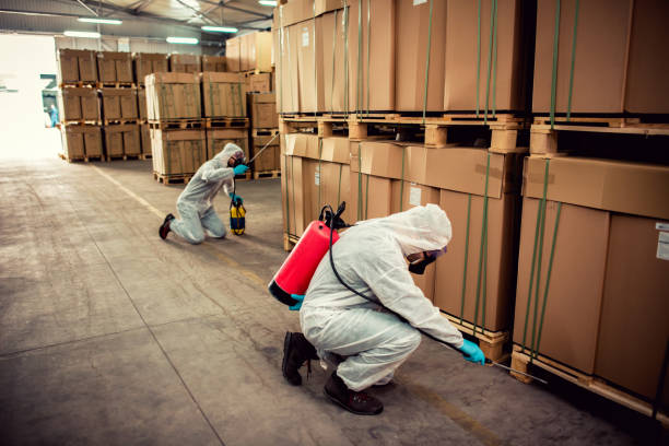 Best Affordable Pest Control Services  in Brentwood, CA