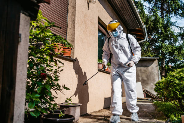 Professional Pest Control in Brentwood, CA