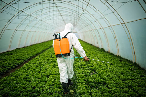 Best Pest Prevention Services  in Brentwood, CA