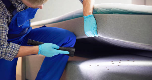 Best Commercial Pest Control Services  in Brentwood, CA