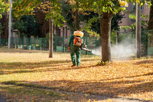 Bird Control in Brentwood, CA