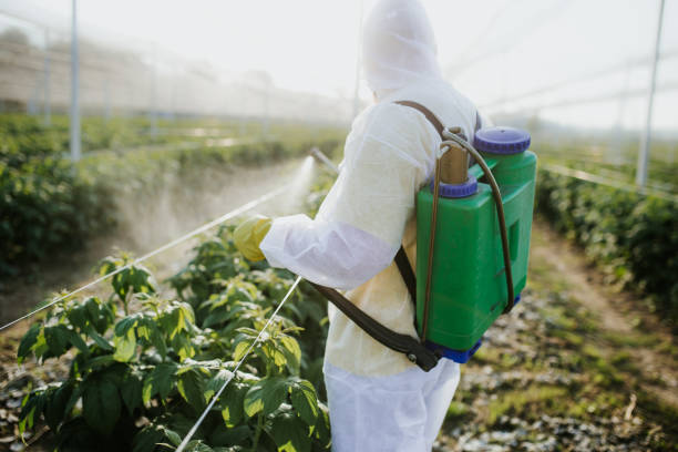 Best Pest Removal Services  in Brentwood, CA